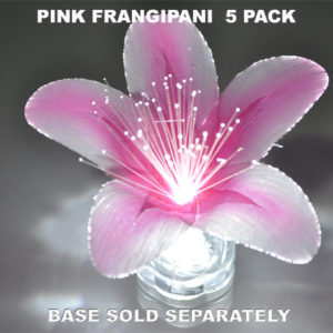 Pink Frangipani 5 pack