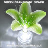 Green Frangipani 5 pack