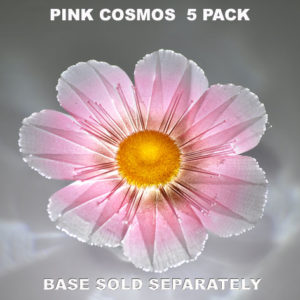 Pink Cosmos 5 pack
