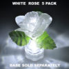 White Rose 5 pack