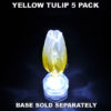 Yellow Tulip 5 pack